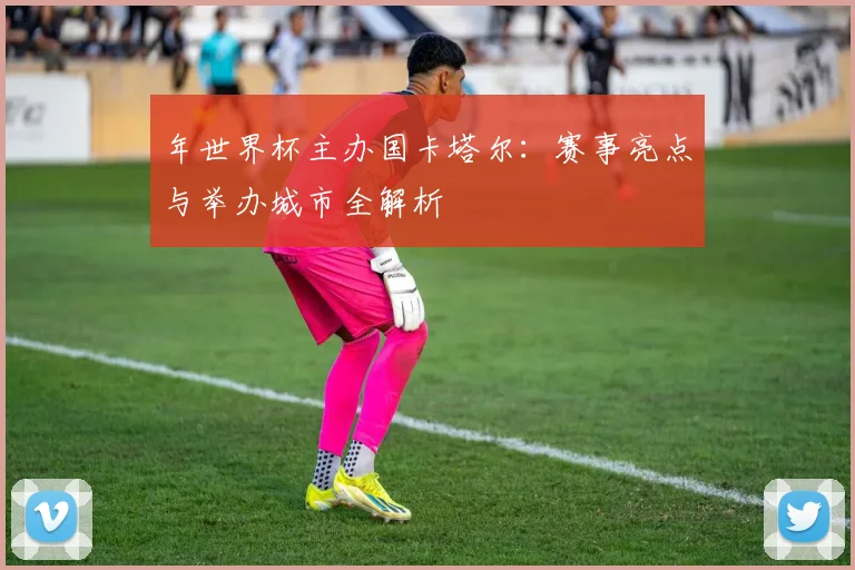 年世界杯主办国卡塔尔:赛事亮点与举办城市全解析