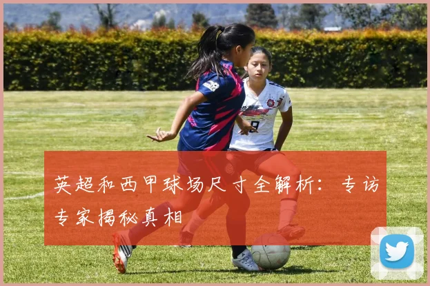 英超和西甲球场尺寸全解析:专访专家揭秘真相